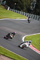 Advanced Group White Bikes